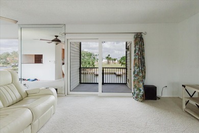 NEW CARPET INSTALLED JAN 21ST Waterfront Serenity & The Ultimate on Tarpon Springs Golf Course in Florida - for sale on GolfHomes.com, golf home, golf lot