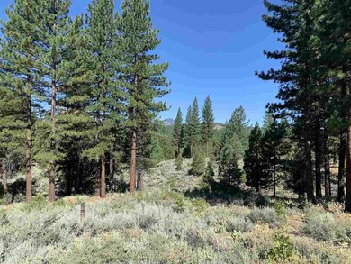 Great value! Beautiful, gently rolling residential lot with on Grizzly Ranch Golf Club in California - for sale on GolfHomes.com, golf home, golf lot