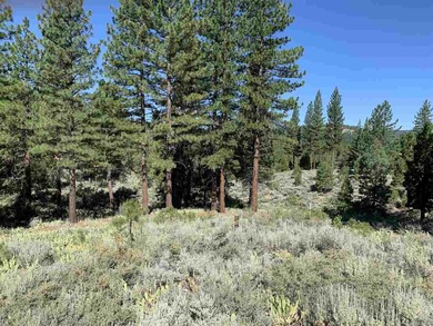 Great value! Beautiful, gently rolling residential lot with on Grizzly Ranch Golf Club in California - for sale on GolfHomes.com, golf home, golf lot