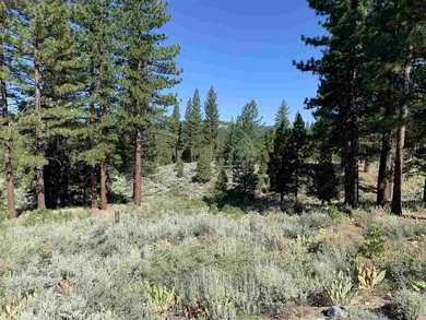 Great value! Beautiful, gently rolling residential lot with on Grizzly Ranch Golf Club in California - for sale on GolfHomes.com, golf home, golf lot