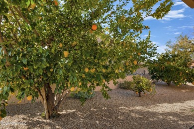 Lovely Laredo with Panoramic Mountain Views! Great Curb Appeal! on Saddlebrooke Golf Course in Arizona - for sale on GolfHomes.com, golf home, golf lot