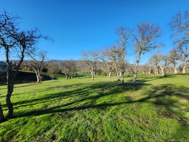 An exceptional homesite awaits in one of the Sierra Foothills' on The Club at Copper Valley Golf Course in California - for sale on GolfHomes.com, golf home, golf lot
