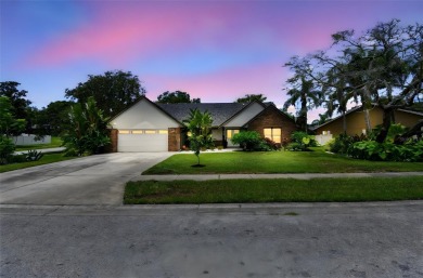 Outdoor Paradise in Palm Harbor - Elevated, Elegant, and on Innisbrook Resort and Golf Club in Florida - for sale on GolfHomes.com, golf home, golf lot