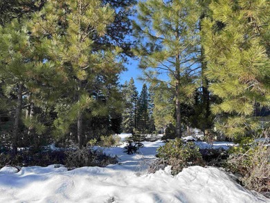 Wonderful level lot with golf course frontage in the desirable on Lake Almanor Country Club in California - for sale on GolfHomes.com, golf home, golf lot