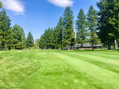 Wonderful level lot with golf course frontage in the desirable on Lake Almanor Country Club in California - for sale on GolfHomes.com, golf home, golf lot