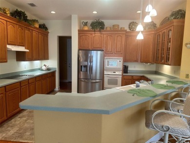Great 3/2 Hampton Model on the Pond in Tamarron with a view to on Eagle Ridge At Spruce Creek Country Club in Florida - for sale on GolfHomes.com, golf home, golf lot