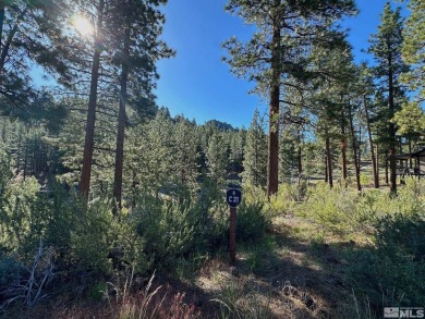 Priced to sell lot in the premier, upscale gated community of on Clear Creek Tahoe in Nevada - for sale on GolfHomes.com, golf home, golf lot