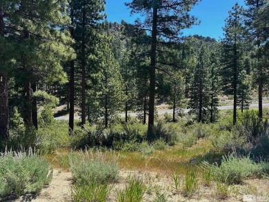 Priced to sell lot in the premier, upscale gated community of on Clear Creek Tahoe in Nevada - for sale on GolfHomes.com, golf home, golf lot
