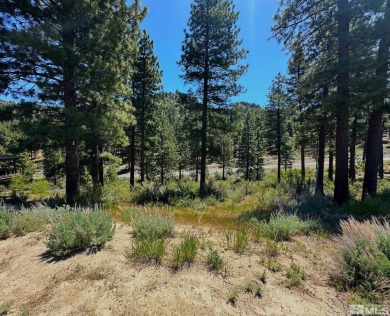 Priced to sell lot in the premier, upscale gated community of on Clear Creek Tahoe in Nevada - for sale on GolfHomes.com, golf home, golf lot