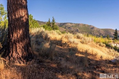 Priced to sell lot in the premier, upscale gated community of on Clear Creek Tahoe in Nevada - for sale on GolfHomes.com, golf home, golf lot