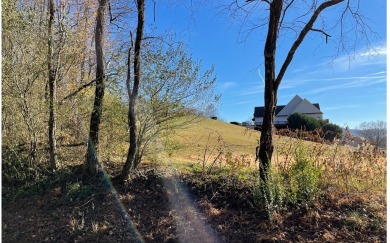 LUXURY LIVING IN THE MOUNTAINS!! If you are wanting to live in on Mountain Harbour Golf Club in North Carolina - for sale on GolfHomes.com, golf home, golf lot