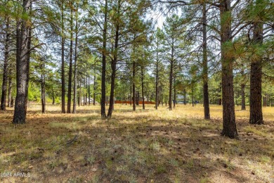 Welcome to this rare 3 bedroom, 2 bath single level townhome in on Continental Country Club in Arizona - for sale on GolfHomes.com, golf home, golf lot