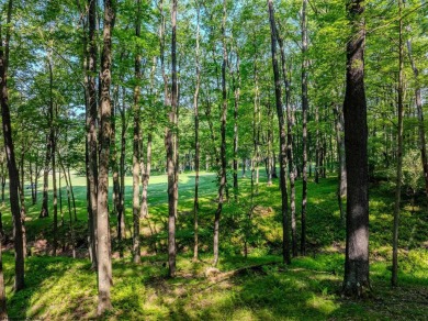 Welcome to 'Putter's Paradise', a delightful cabin nestled in on Alpine Lake Resort in West Virginia - for sale on GolfHomes.com, golf home, golf lot