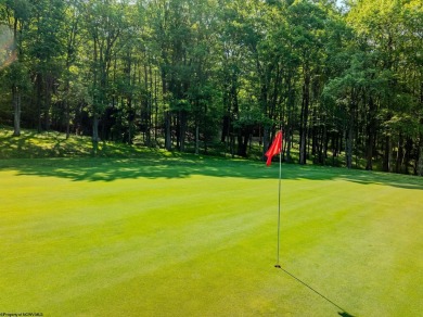 Welcome to 'Putter's Paradise', a delightful cabin nestled in on Alpine Lake Resort in West Virginia - for sale on GolfHomes.com, golf home, golf lot