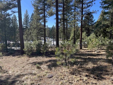 Seller is motivated, priced for quick sale. Gorgeous golf lot on Grizzly Ranch Golf Club in California - for sale on GolfHomes.com, golf home, golf lot