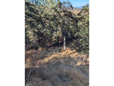 Great opportunity to own a property near Lake Tulloch with on The Club at Copper Valley Golf Course in California - for sale on GolfHomes.com, golf home, golf lot