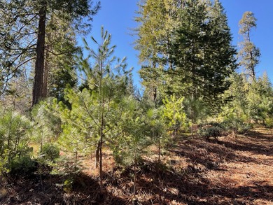 Gentle Sloping parcel near Fly-in- Acres, close to Sequoia woods on Sequoia Woods Country Club in California - for sale on GolfHomes.com, golf home, golf lot