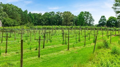 Discover the popular Cali floor plan at Northwoods at Mirror on Mirror Lake Golf Club in Georgia - for sale on GolfHomes.com, golf home, golf lot