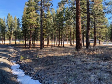 Build your dream home on this exceptional private lot in the on Grizzly Ranch Golf Club in California - for sale on GolfHomes.com, golf home, golf lot