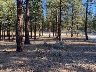 Build your dream home on this exceptional private lot in the on Grizzly Ranch Golf Club in California - for sale on GolfHomes.com, golf home, golf lot