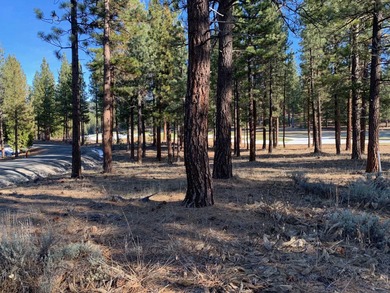Build your dream home on this exceptional private lot in the on Grizzly Ranch Golf Club in California - for sale on GolfHomes.com, golf home, golf lot