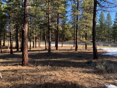 Build your dream home on this exceptional private lot in the on Grizzly Ranch Golf Club in California - for sale on GolfHomes.com, golf home, golf lot