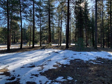 Build your dream home on this exceptional private lot in the on Grizzly Ranch Golf Club in California - for sale on GolfHomes.com, golf home, golf lot