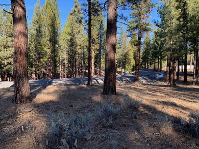 Build your dream home on this exceptional private lot in the on Grizzly Ranch Golf Club in California - for sale on GolfHomes.com, golf home, golf lot