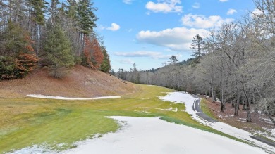 Currently wooded view Lot located in Trillium Ridge covers over on Trillium Links in North Carolina - for sale on GolfHomes.com, golf home, golf lot