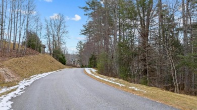 Currently wooded view Lot located in Trillium Ridge covers over on Trillium Links in North Carolina - for sale on GolfHomes.com, golf home, golf lot