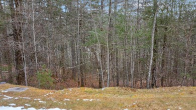 Currently wooded view Lot located in Trillium Ridge covers over on Trillium Links in North Carolina - for sale on GolfHomes.com, golf home, golf lot