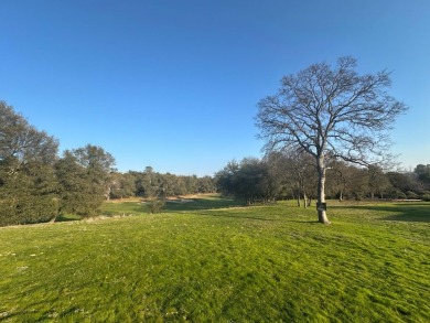 One of the finest lots in Greenhorn creek, this level and sunny on Greenhorn Creek Resort in California - for sale on GolfHomes.com, golf home, golf lot