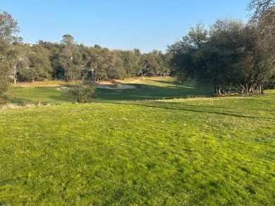 One of the finest lots in Greenhorn creek, this level and sunny on Greenhorn Creek Resort in California - for sale on GolfHomes.com, golf home, golf lot