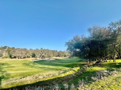 One of the finest lots in Greenhorn creek, this level and sunny on Greenhorn Creek Resort in California - for sale on GolfHomes.com, golf home, golf lot