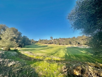 One of the finest lots in Greenhorn creek, this level and sunny on Greenhorn Creek Resort in California - for sale on GolfHomes.com, golf home, golf lot