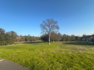 One of the finest lots in Greenhorn creek, this level and sunny on Greenhorn Creek Resort in California - for sale on GolfHomes.com, golf home, golf lot