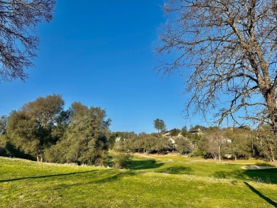 One of the finest lots in Greenhorn creek, this level and sunny on Greenhorn Creek Resort in California - for sale on GolfHomes.com, golf home, golf lot