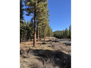 **Experience the Best of Nature and Luxury at Grizzly Ranch!** on Grizzly Ranch Golf Club in California - for sale on GolfHomes.com, golf home, golf lot