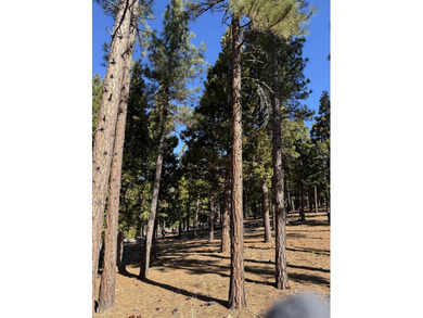 **Experience the Best of Nature and Luxury at Grizzly Ranch!** on Grizzly Ranch Golf Club in California - for sale on GolfHomes.com, golf home, golf lot