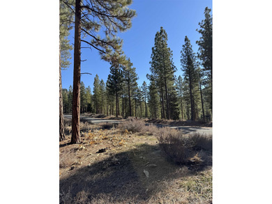 **Experience the Best of Nature and Luxury at Grizzly Ranch!** on Grizzly Ranch Golf Club in California - for sale on GolfHomes.com, golf home, golf lot