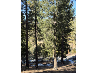 **Experience the Best of Nature and Luxury at Grizzly Ranch!** on Grizzly Ranch Golf Club in California - for sale on GolfHomes.com, golf home, golf lot