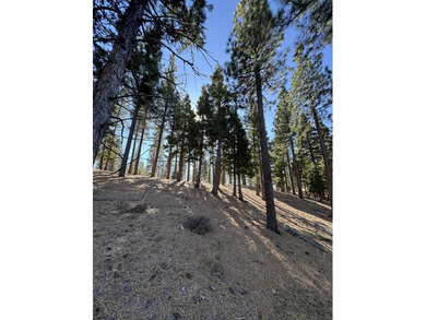 **Experience the Best of Nature and Luxury at Grizzly Ranch!** on Grizzly Ranch Golf Club in California - for sale on GolfHomes.com, golf home, golf lot