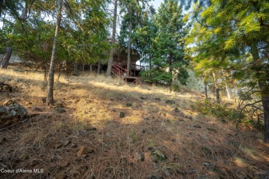 Avondale Lakefront Living! Perfectly situated on the tranquil on Avondale Golf and Tennis Club in Idaho - for sale on GolfHomes.com, golf home, golf lot
