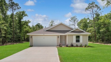 Welcome to the Lakeside, a new home floor plan at Sunny Hills in on Sunny Hills Golf and Country Club in Florida - for sale on GolfHomes.com, golf home, golf lot