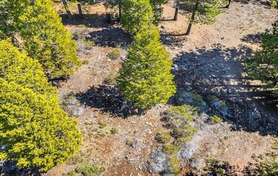 Great Building Lot in Lake Almanor West Looking for the perfect on Lake Almanor West Golf Course in California - for sale on GolfHomes.com, golf home, golf lot