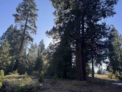 Almost level golf course lot on the 7th fairway at Bailey Creek on Lake Almanor Country Club in California - for sale on GolfHomes.com, golf home, golf lot