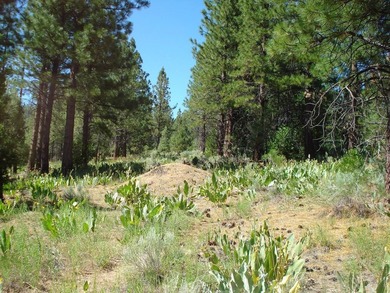 Escape to the mountains in the stunning, gated community of on Grizzly Ranch Golf Club in California - for sale on GolfHomes.com, golf home, golf lot