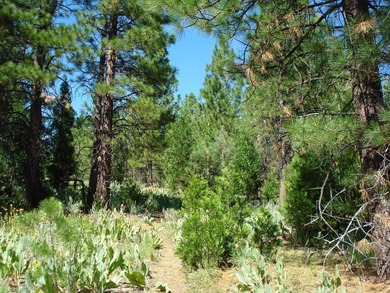 Escape to the mountains in the stunning, gated community of on Grizzly Ranch Golf Club in California - for sale on GolfHomes.com, golf home, golf lot