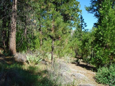 Escape to the mountains in the stunning, gated community of on Grizzly Ranch Golf Club in California - for sale on GolfHomes.com, golf home, golf lot