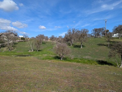 Discover the perfect blend of privacy, nature, and lake-area on The Club at Copper Valley Golf Course in California - for sale on GolfHomes.com, golf home, golf lot